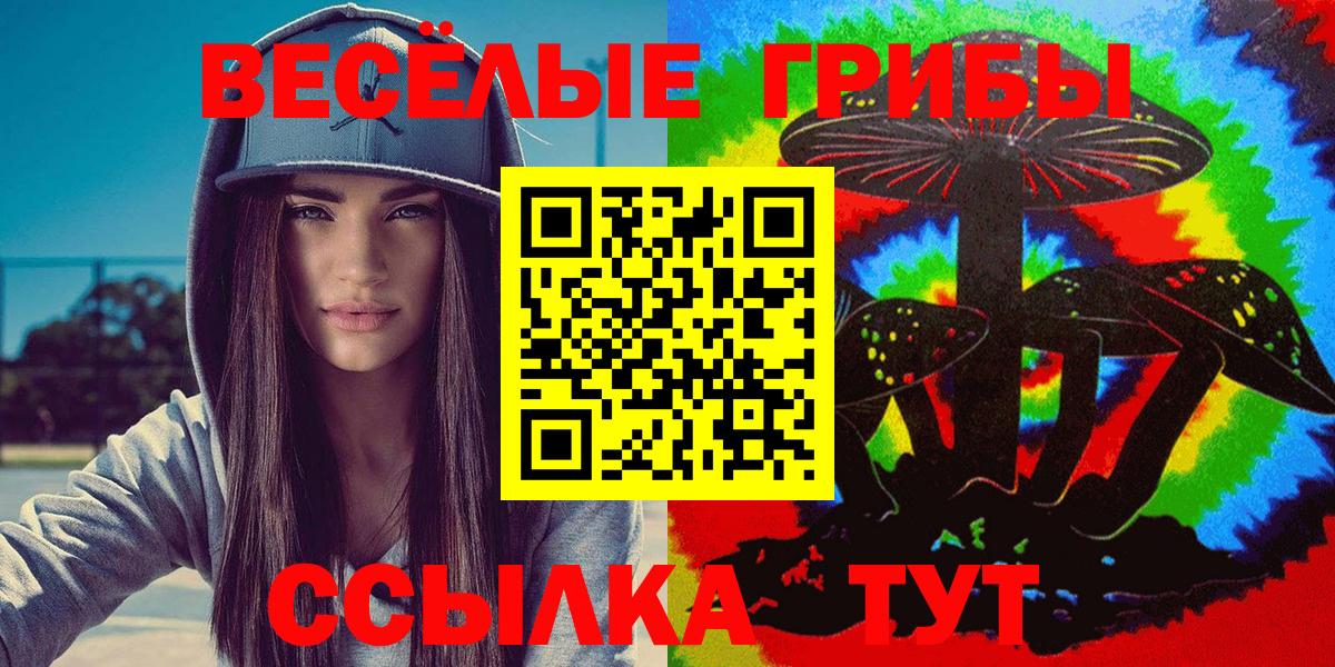 Галлюциногенные грибы ЛСД  Псилоцибиновые грибы ЛСД  Вход с VPN  Вязники 