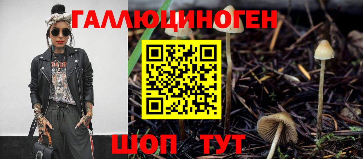 Галлюциногенные грибы прущие грибы Вязники
